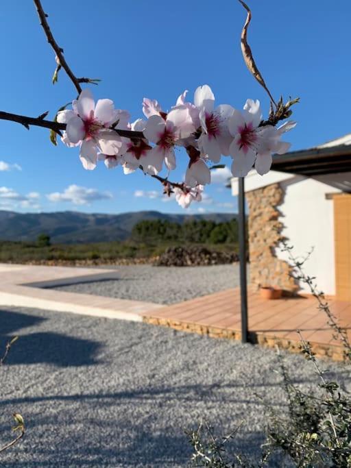 La Llobatera Casa Rural Les Coves de Vinroma Eksteriør bilde